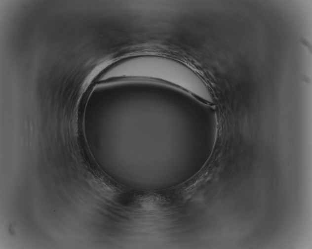 X0000091510200200709071001