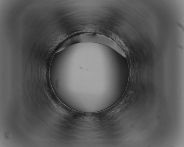 X0000091510201200709071001