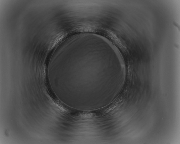 X0000091510202200709071001