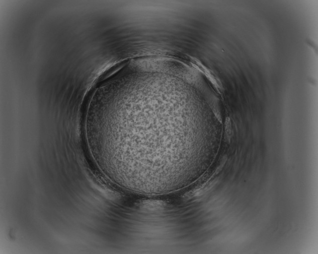 X0000091510203200709071001