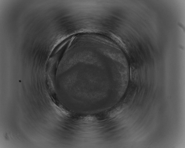 X0000091510204200709071001