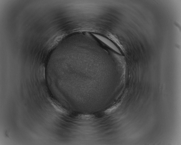 X0000091510205200709071001