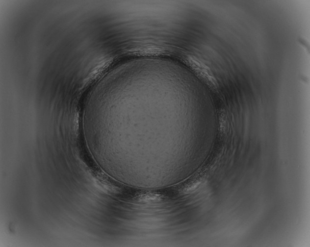 X0000091510206200709071001