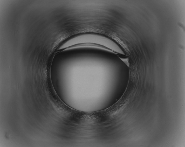 X0000091510207200709071001