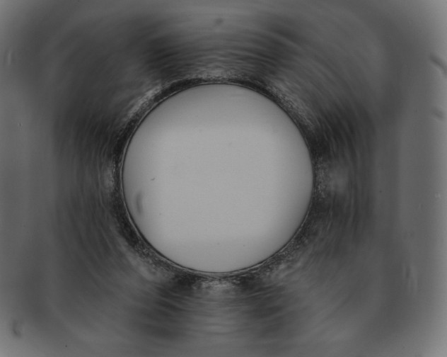 X0000091510208200709071001