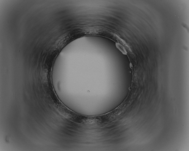 X0000091510209200709071001