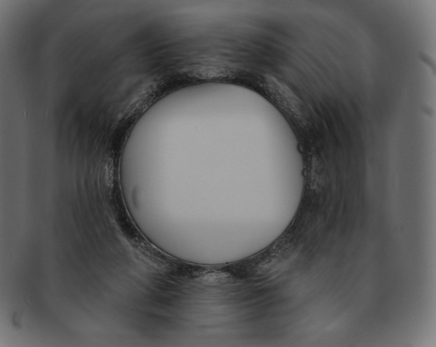 X0000091510210200709071001