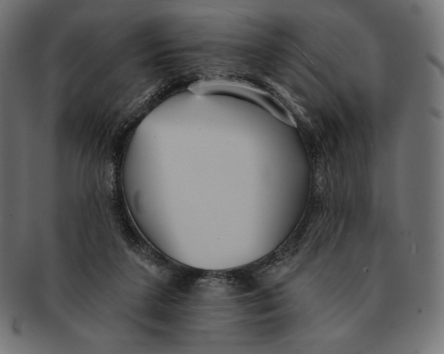 X0000091510211200709071001