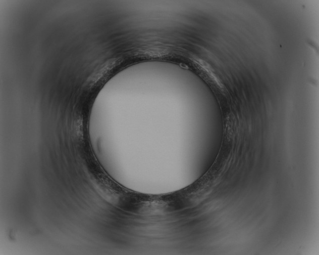 X0000091510212200709071001