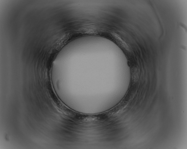 X0000091510213200709071001