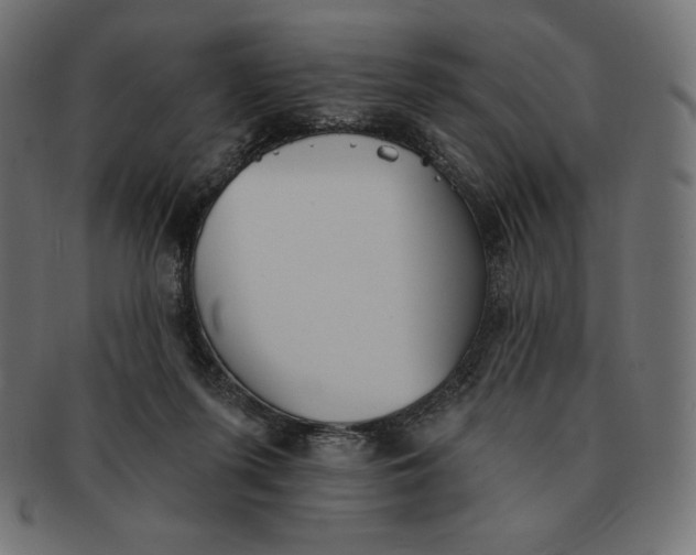 X0000091510215200709071001