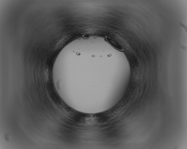 X0000091510216200709071001