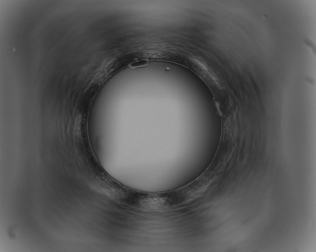 X0000091510217200709071001