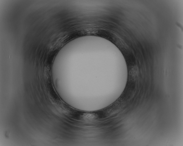 X0000091510218200709071001