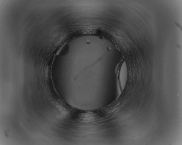 X0000091510219200709071001