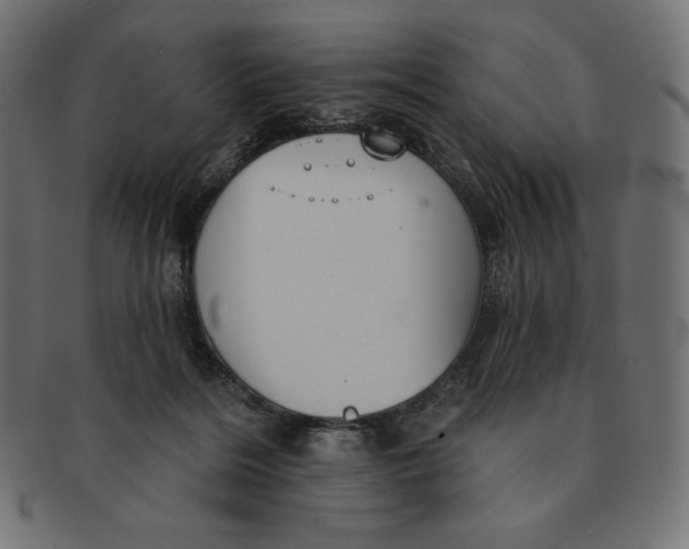 X0000091510220200709071001