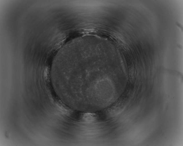 X0000091510222200709071001