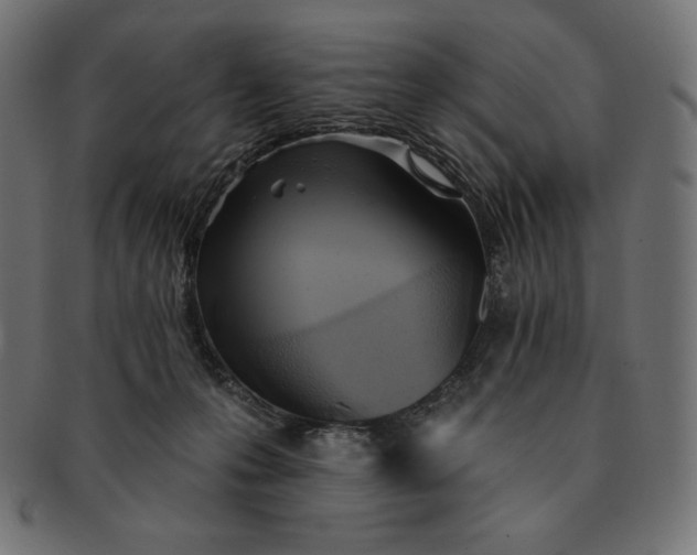 X0000091510223200709071001