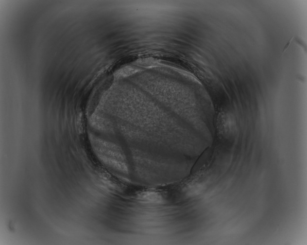 X0000091510224200709071001