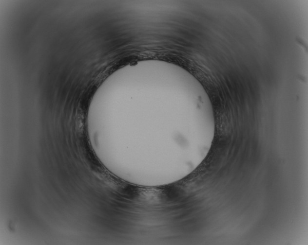 X0000091510226200709071001