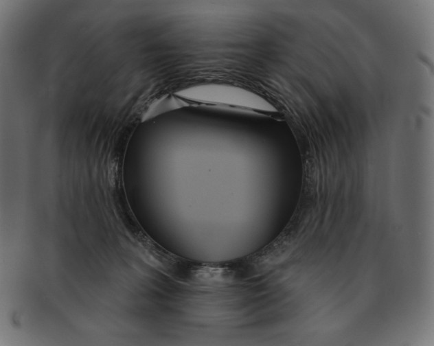 X0000091510227200709071001