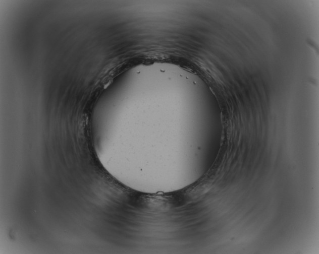 X0000091510229200709071001