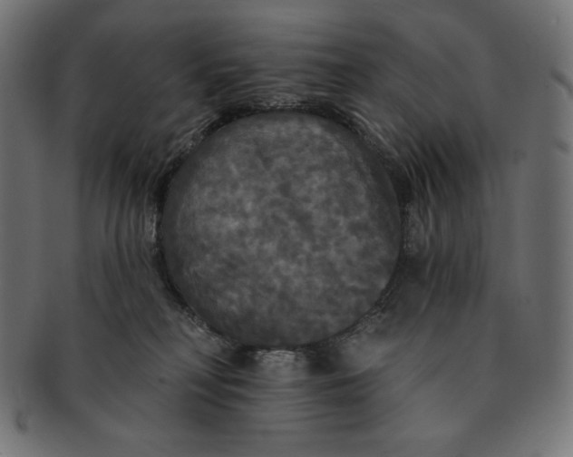 X0000091510230200709071001