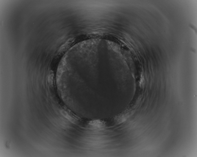 X0000091510231200709071001