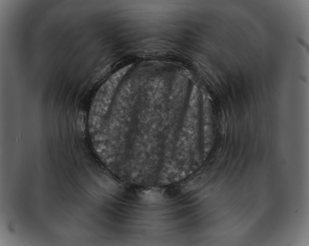 X0000091510232200709071001