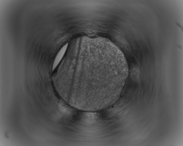 X0000091510233200709071001