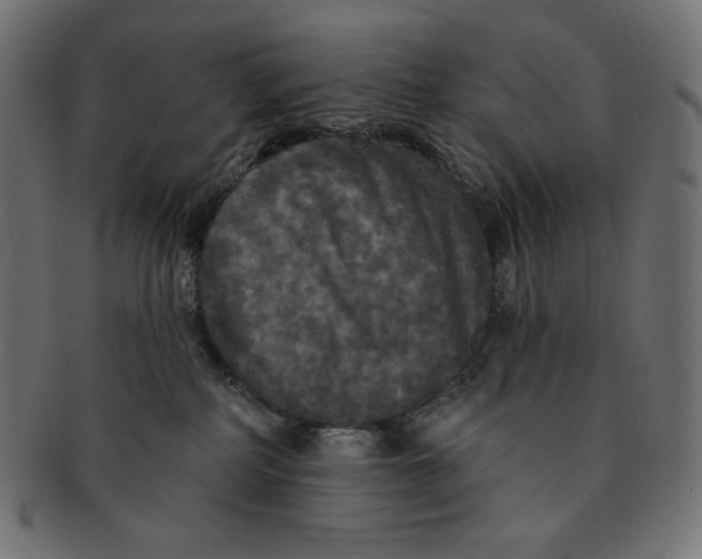 X0000091510234200709071001