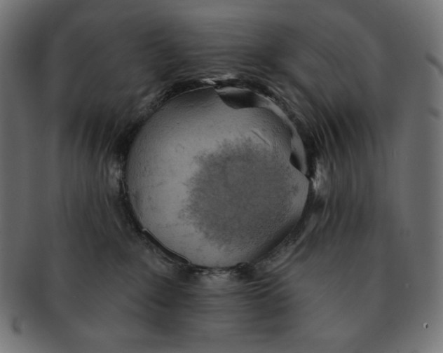 X0000091510235200709071001