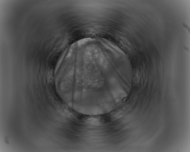 X0000091510236200709071001