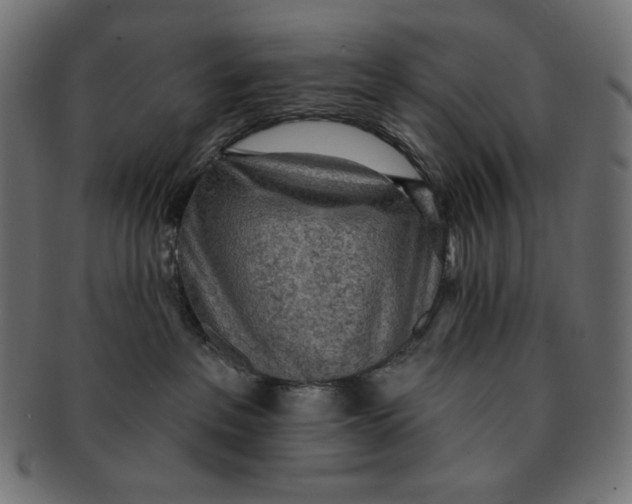 X0000091510237200709071001