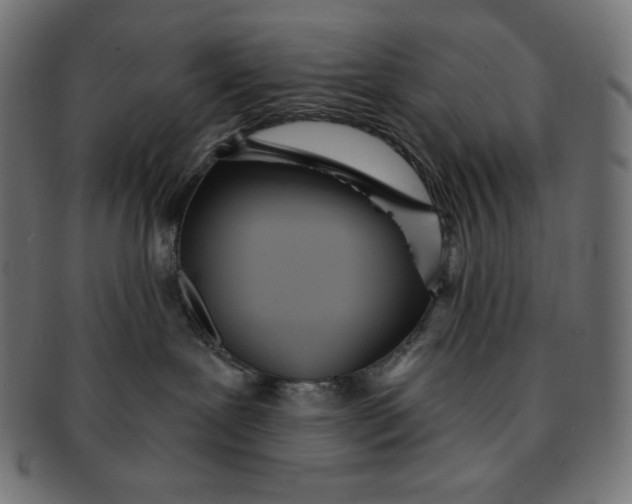 X0000091510239200709071001