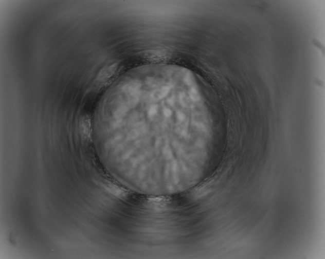 X0000091510240200709071001