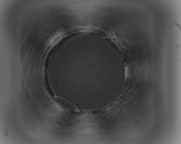 X0000091510243200709071000