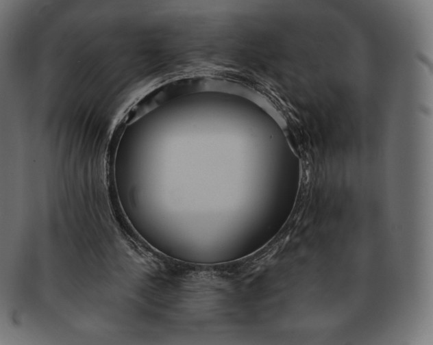 X0000091510244200709071000