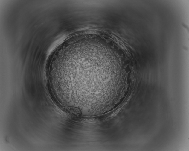 X0000091510245200709071000