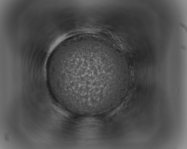 X0000091510246200709071000