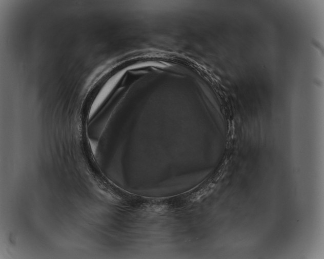 X0000091510247200709071000