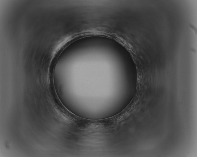 X0000091510248200709071000