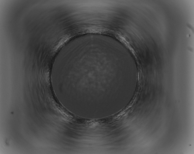 X0000091510249200709071000