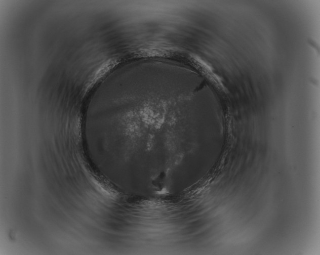 X0000091510250200709071000