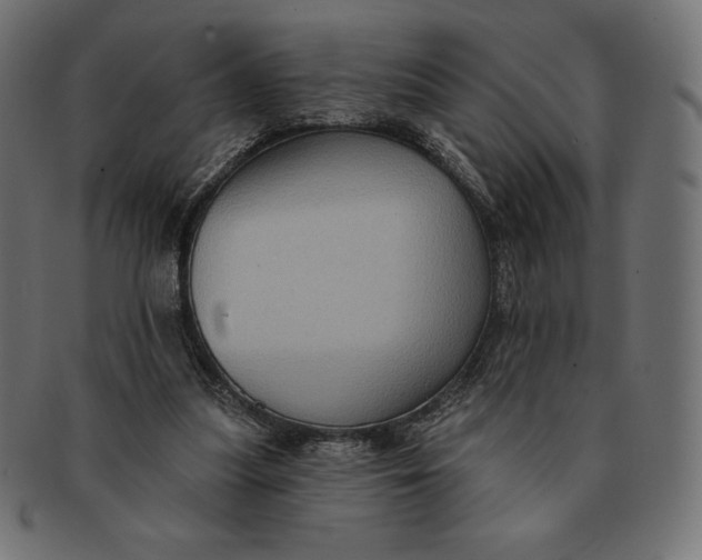 X0000091510251200709071000