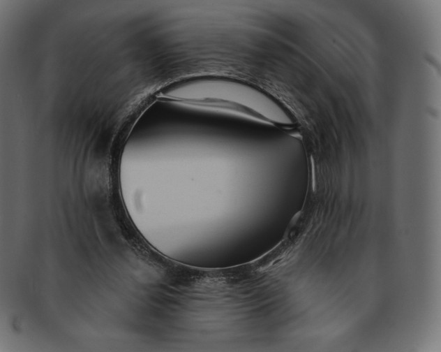 X0000091510252200709071000