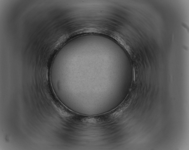 X0000091510253200709071000