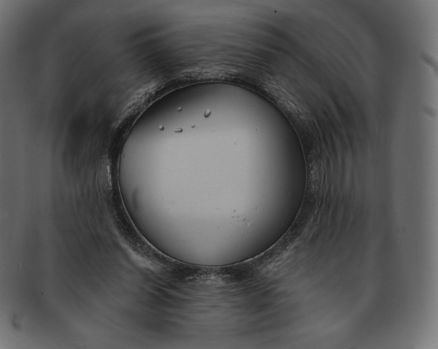 X0000091510254200709071000