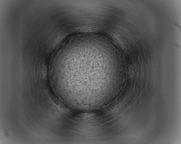 X0000091510255200709071000