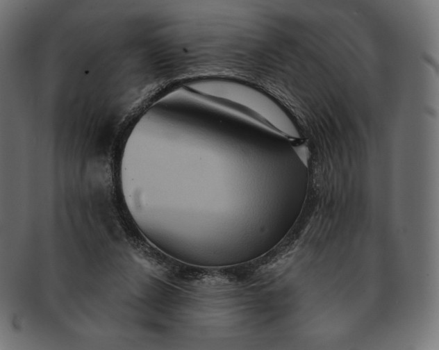 X0000091510256200709071000